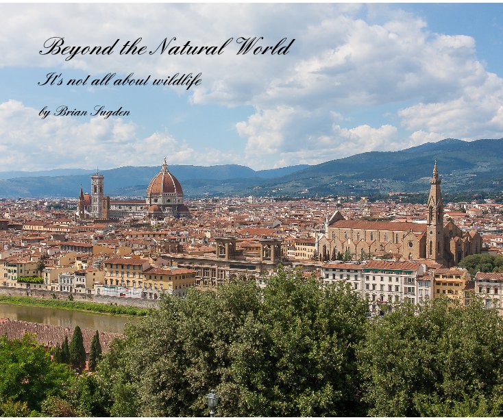 View Beyond the Natural World by Brian Sugden