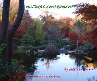 NATURAL ENVIROMENT book cover