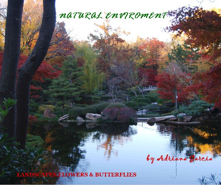 View NATURAL ENVIROMENT by Adriana Garcia