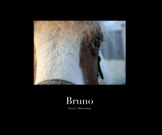 Bruno Dena C. Bl book cover