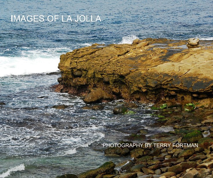 View IMAGES OF LA JOLLA by TERRY FORTMAN