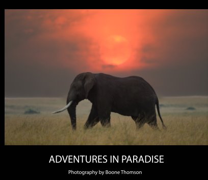 Africa 2025 Sanders book cover