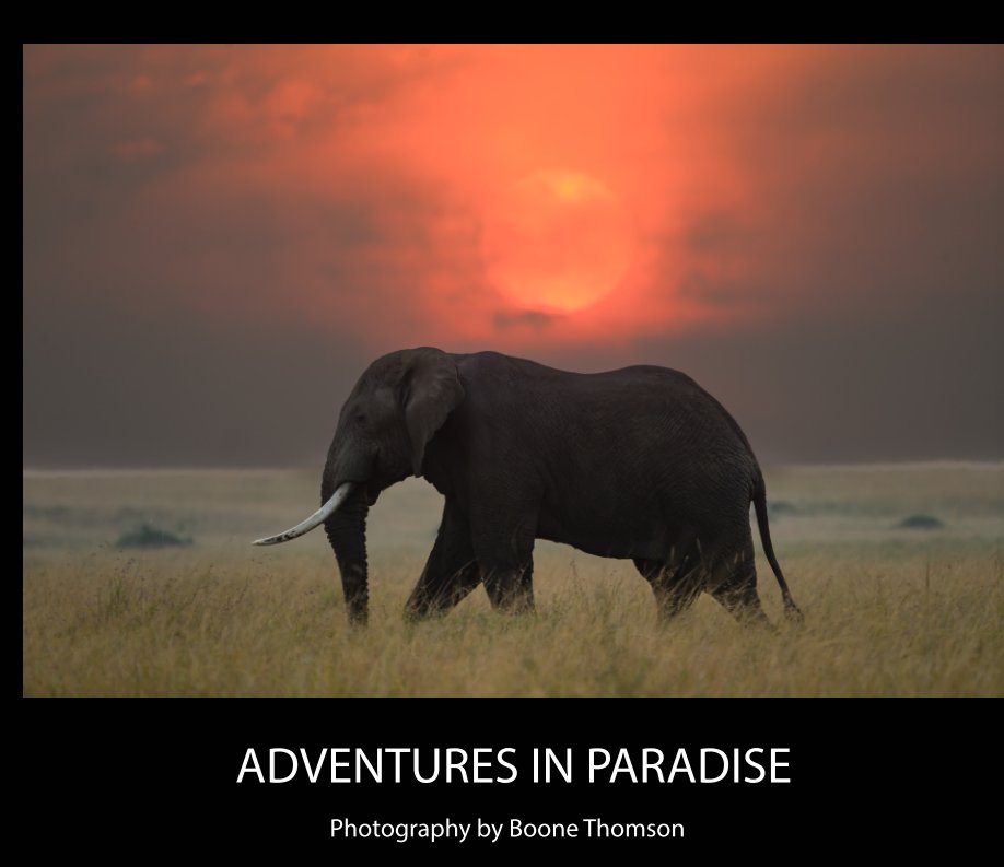 View Africa 2025 Sanders by Boone Thomson