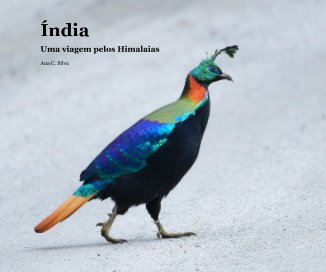 Índia book cover