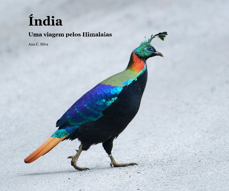 View Índia by Ana C. Silva