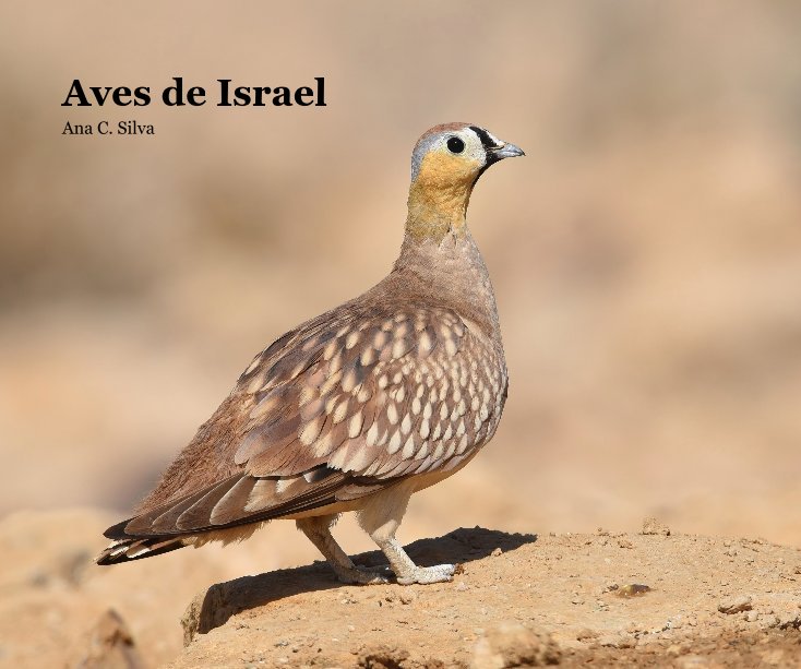 View Aves de Israel by Ana C. Silva