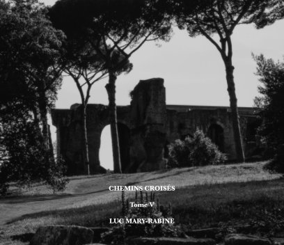 Chemins Croisés V book cover