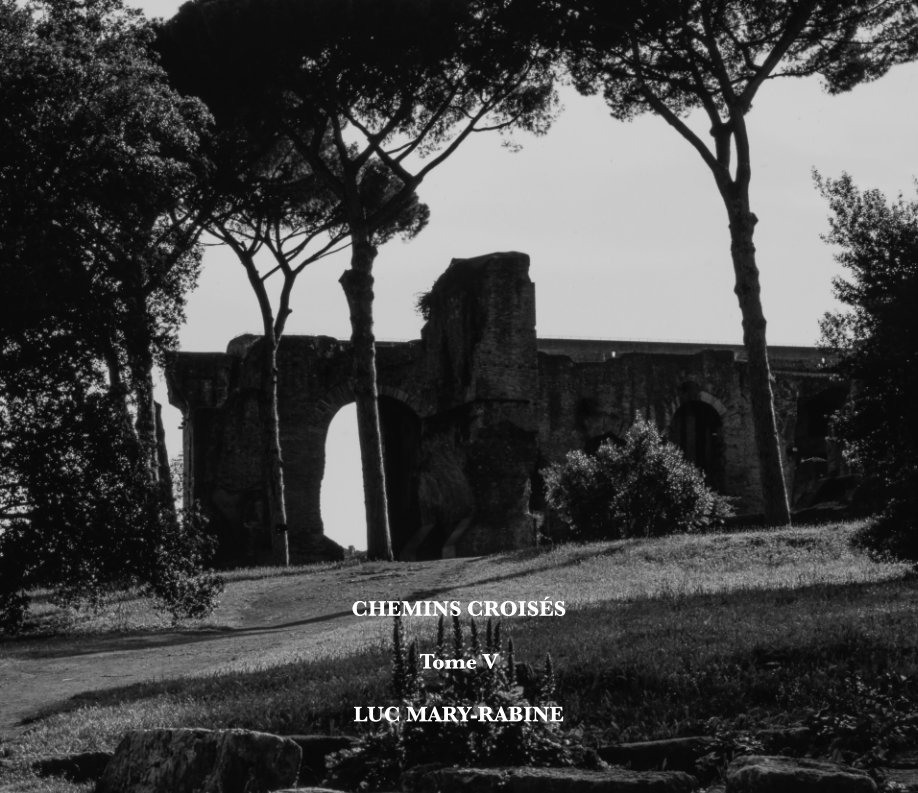View Chemins Croisés V by Luc Mary-Rabine