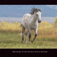 Mustangs of the Eastern Sierra Nevada book cover