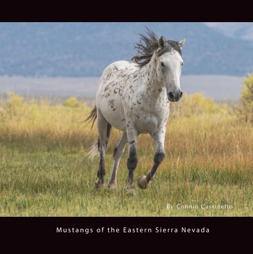 View Mustangs of the Eastern Sierra Nevada by Connie Cassinetto