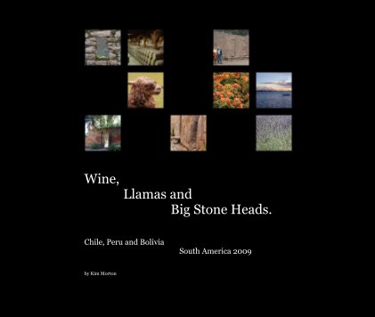 Wine, Llamas and Big Stone Heads. book cover