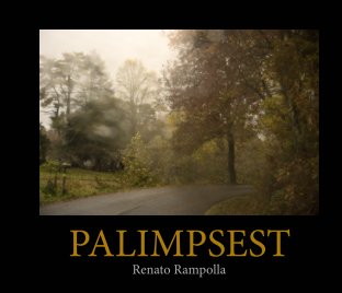 Palimpsest book cover