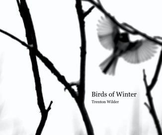 Birds of Winter book cover