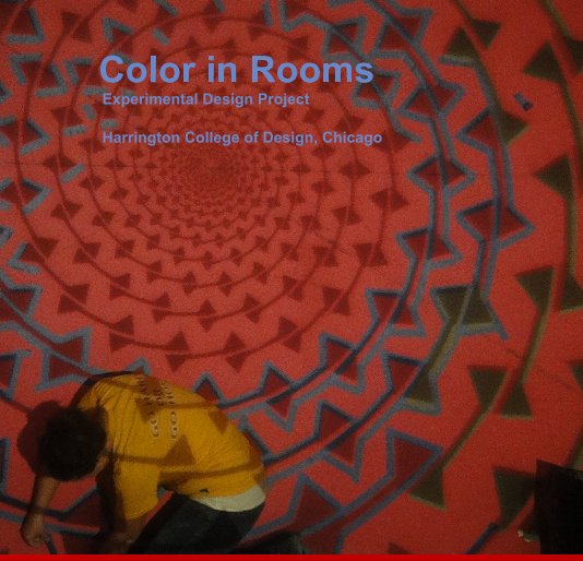 View Color in Rooms Experimental Design Project Harrington College of Design, Chicago by Peter Klick