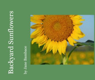 Backyard Sunflowers book cover