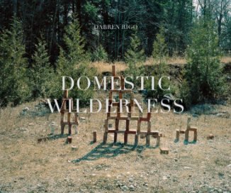 Domestic Wilderness book cover