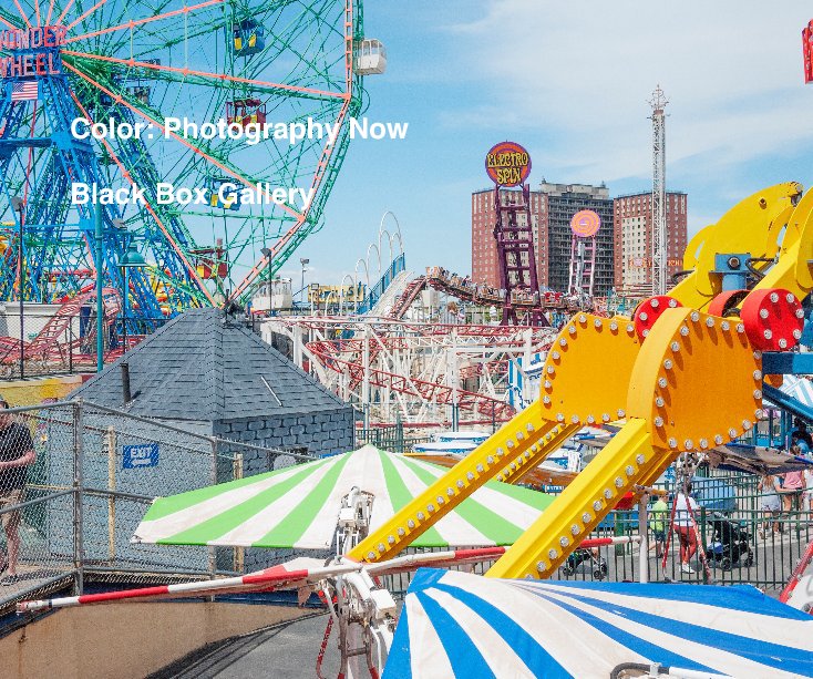 View Color: Photography Now by Black Box Gallery