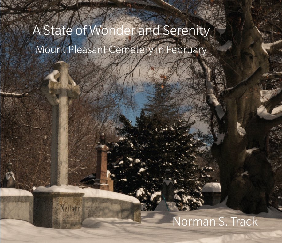 View A State of Wonder and Serenity by Norman S. Track