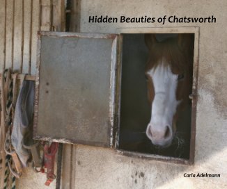 Hidden Beauties of Chatsworth book cover