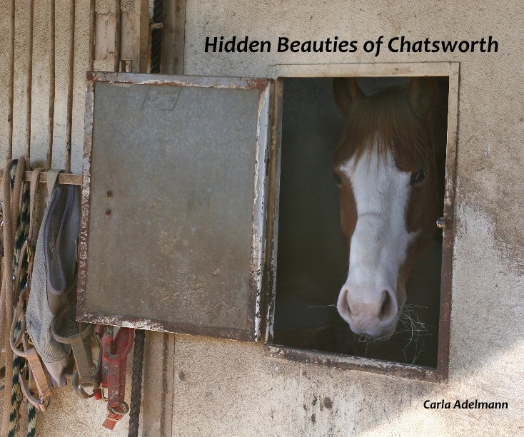 View Hidden Beauties of Chatsworth by Carla Adelmann