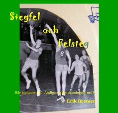 Stegfel och Felsteg book cover