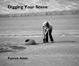 Digging Your Scene book cover