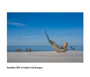 Betraktelser 2024 book cover