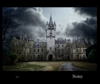 Noisy book cover
