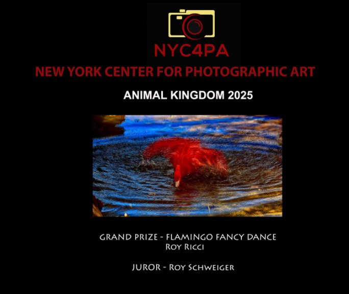 View NYC4PA Animal Kingdom by NYC4PA