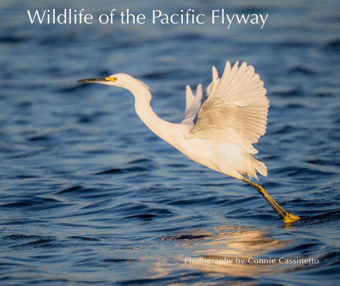 View Wildlife of the Pacific Flyway by Connie Cassinetto
