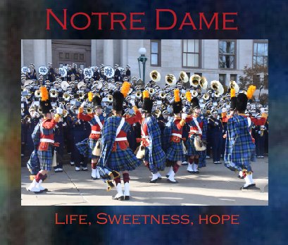 Notre Dame book cover