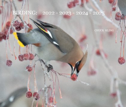 Birding: 2022 - 2023 - 2024 - 2025 book cover