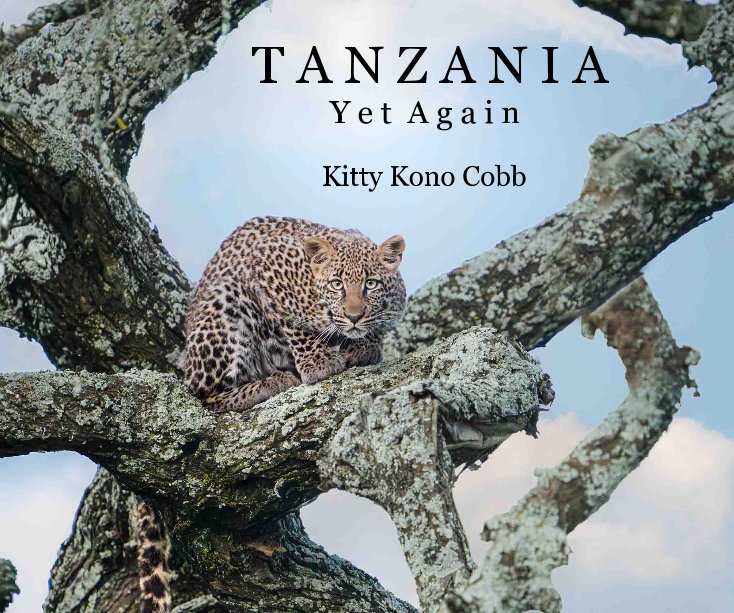 View T A N Z A N I A - Y e t A g a i n by Kitty Kono Cobb