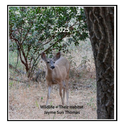 Voir %(titre) par %(nom_de_l'auteur)