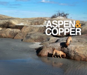 Aspen & Copper book cover