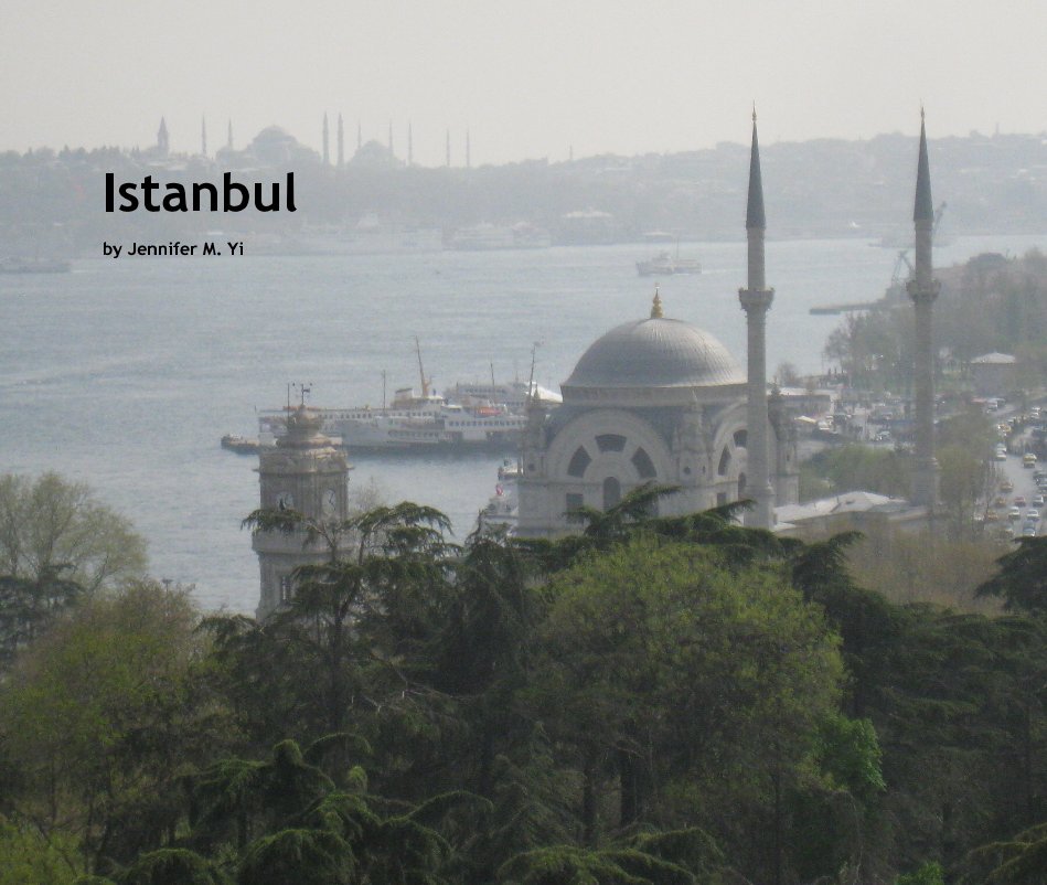 View Istanbul by Jennifer M. Yi