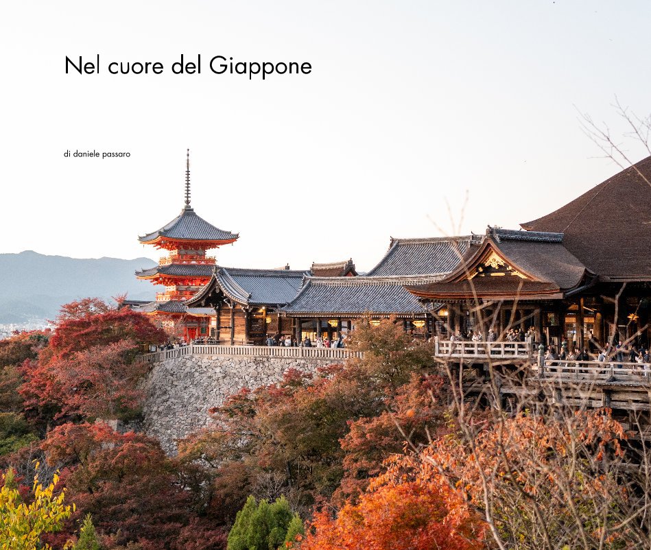 View Nel cuore del Giappone by di daniele passaro