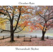 October Rain book cover