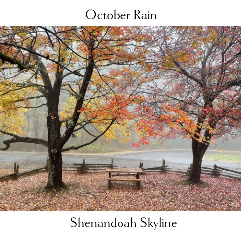 View October Rain by Barbara Southworth