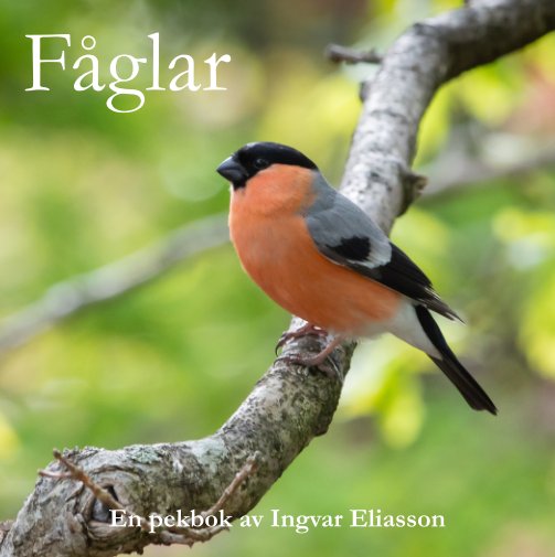 View Fåglar by Ingvar Eliasson