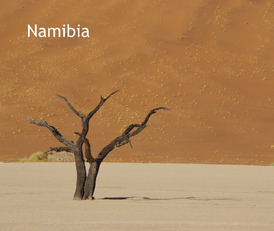 View Namibia by Kevin Anderson