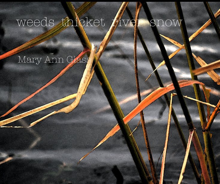 View weeds thicket river snow by Mary Ann Glass
