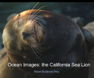 Ocean Images: the California Sea Lion book cover