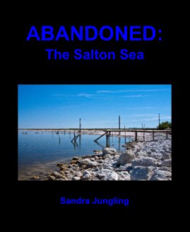 ABANDONED: The Salton Sea book cover