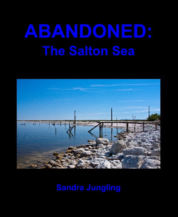 View ABANDONED: The Salton Sea by Sandra Jungling