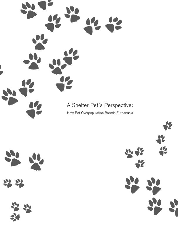 View A Shelter Pet's Perspective by Chelsea MacPherson