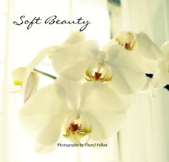 Soft Beauty book cover