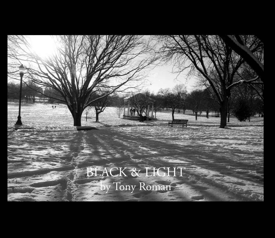 View Black and Light (SE) by Tony Roman