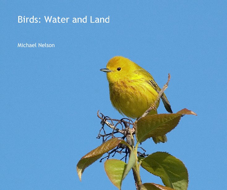 View Birds: Water and Land by Michael Nelson