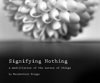 Signifying Nothing book cover